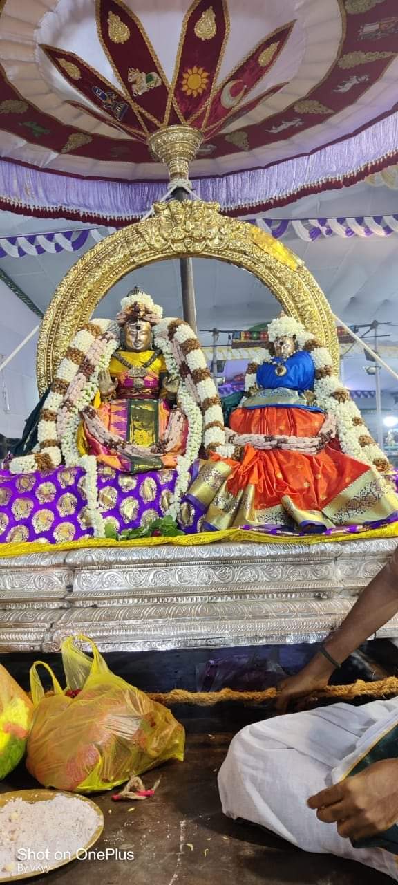 திருமயிலை அருள்மிகு கபாலீஸ்வரர்  பங்குனி   திருவிழா